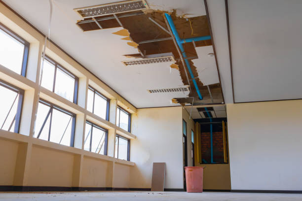 Best Ceiling water damage repair  in Shullsburg, WI