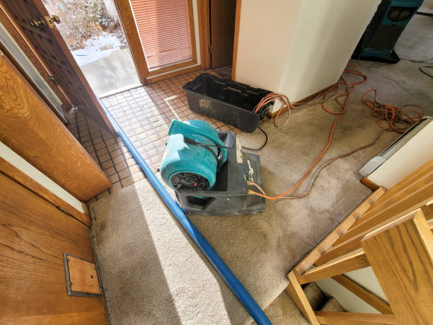 Best 24-hour water damage restoration  in Shullsburg, WI