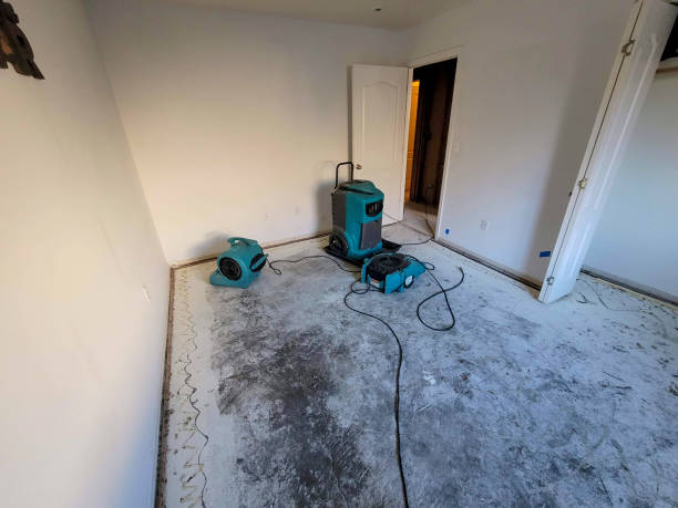 Best Carpet water damage restoration  in Shullsburg, WI
