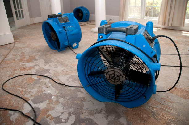 Best Residential water damage restoration  in Shullsburg, WI