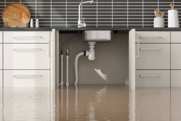 Best Commercial water damage restoration  in Shullsburg, WI